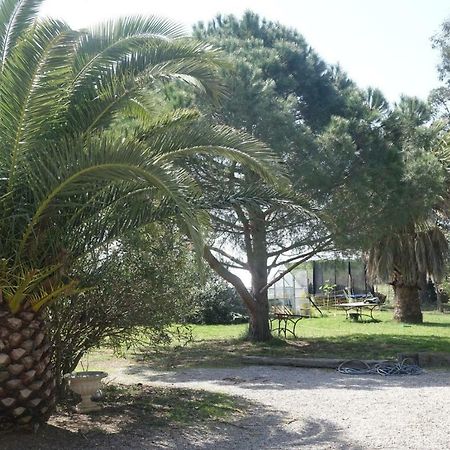 Villa Mas Du Roc Saint-Nazaire  Esterno foto