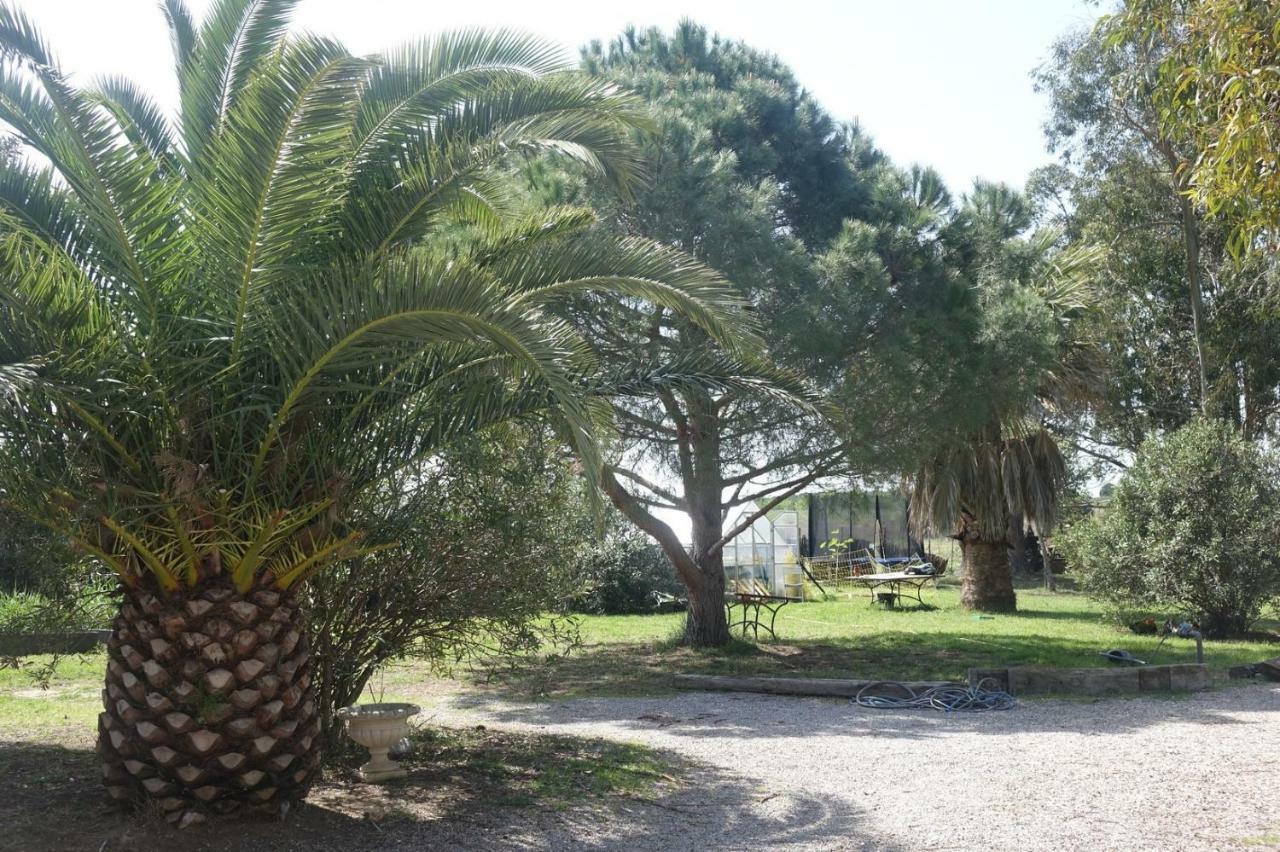 Villa Mas Du Roc Saint-Nazaire  Esterno foto